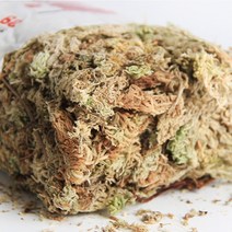 수경재배포트 100g갑 세라믹 토양 음이온 도자기 탄소 공 영양 유기 팽창 점토 자갈 식물 양식