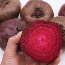 레드비트 2kg 3kg 예천 햇 비트 산지직송