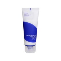 이즈앤트리 히아루론산 아쿠아 젤크림 100ml, 1개