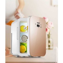 SAST 미니 냉장고 가정용 작업실 화장품 보관, L