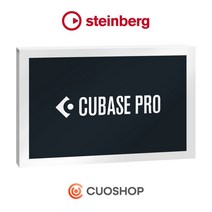 Steinberg Cubase Pro 12 일반용 큐베이스 프로 12