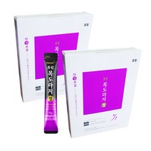 휴럼 다정보감 목도라지정 10gx15포 환절기 기관지 건강 목도라지청, 2박스