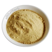 올댓허브 천연분말 고삼분말, 40g