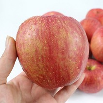 [산지직송] 과즙가득 의성 사과(꼬마) 2.5kg, 단품