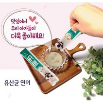 유산균 연어 짜먹는 반려견 간식 오메가 3 요거트 장, 상세페이지 참조