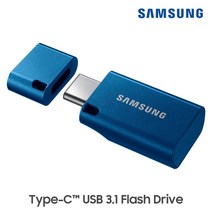 삼성전자 삼성 USB 3.1 메모리 C타입 TYPE-C 64GB MUF-64DAAPC, 단품