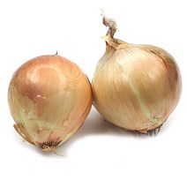야채왕 햇 양파 1kg 5kg 10kg, 양파1kg, 1개