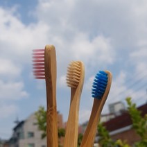 열린방향 친환경 대나무 칫솔 5개 세트 미세강모 어린이 어른용 나무칫솔 생분해 치솔 잇솔 미세모 배송비 무료, 어른용10개