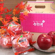 껍질째 먹는 사과 산들네 세척사과 3kg 15과내, 단품