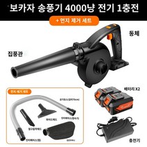 전기 소형 헤어 드라이어 차량용 산업용 집진기 불고 빠는 잎 고출력 무선 충전식 송풍기, 16. 전문가용 20V4000mAh 배터리 2개 1회
