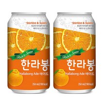 한라봉에이드 350ml x 24캔 탄산과즙음료 에이드 뚱캔 캔음료