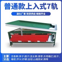 과일선별기 사과 감자 자두 복숭아 감 토마토 110187, 일반 상단 항목 7 레일