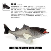 해양 바다 동물 모형 상어 거북이 피쉬 물고기 피규어 시뮬레이션 모델 장식품 수집품 놀이, 연회색농어개