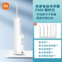 휴대용 구강 세정기 치석 제거 교정, Mijia전동치아린서F300스모크화이트