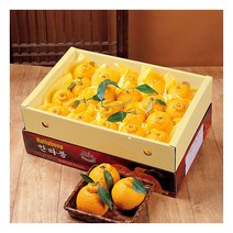 [푸르젠] 제주 한라봉 5kg(16~20과), 상세 설명 참조