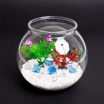 풀세팅 투명 플라스틱 어항세트(중)소품어항 복주머니