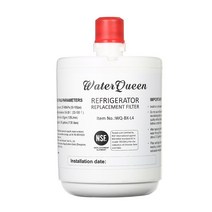 WaterQueen Waterqueen 냉장고 교체 필터 호환 물 LG LT500P / 5231JA2002A GEN11042F-08 및 Kenmore 46-9890 9890 ADQ72910907