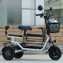 3륜 전기 자전거 성인용 어르신 출퇴근 배달, M. 20Ah약80km