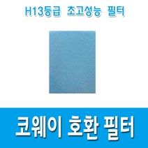 국산 H13등급 코웨이 AP-1013F 공기청정기 필터 호환용, 기능성필터1