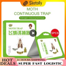 나방 트랩 곤충 킬링 나방 미지나방 검은 파리 인도식 나방 쌀 나방 트랩 해충 방제 제품 5 개, 한개옵션0