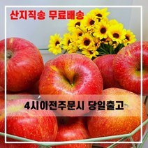 산지직송 햇사과 일품 꿀 부사 사과 충북 5kg 10kg 선물용 가정용, 선물용 정품 중소과 19~20과