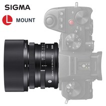 시그마 C 45mm F2.8 DG DN 단렌즈, L마운트