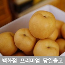 [특등급선별] 배 5kg 감기에좋은음식 기침멈추는법 가래없애는방법 과일 배즙 배차 배즙효능 배가격 과일배 먹골배 배주스 사과배 배음료 서생배 과일 신선한 프리미엄 백화점 업소용