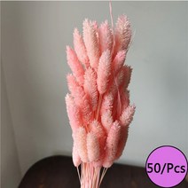 미니화분 자연 말린 꽃 토끼 꼬리 팜파스 갈대 꽃다발 웨딩 파티 장식 식물 3 개 구매시 1 무료 제, 18 B3