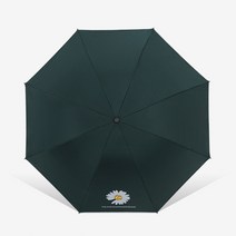작다 데이지 청우산 파라솔 자외선 차단 암막 우산, 녹색