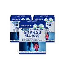 옵티 엠에스엠 디메틸설폰 MSM 2000 식이유황 OPTIMSM 식용 먹는 유황 조인트 MSM 비타민D 영양제 FDA GRAS 3박스
