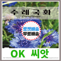 [OK씨앗] [수레국화] 수레국화꽃씨앗 종자(오케이씨앗), 2g