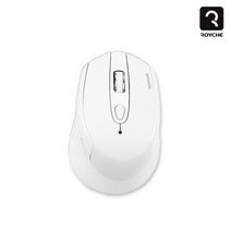 로이체 RX-560 DUAL 블루투스 겸용 무소음 무선 마우스 화이트