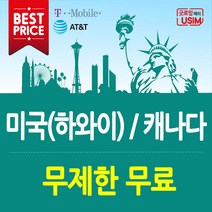 미국유심 T-Mobile AT&T 연장가능 무제한 데이터 통화 심카드 장기 유학생 미국유심칩, 3.T-Mobile 30일(로컬) 플랜, 60일, 인천공항제1터미널