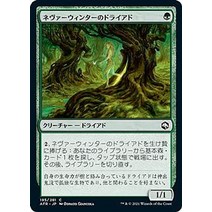 포고플3세대 매직 개더링 afr jp 195 네버윈터의 드라이 광고(공통) 잊혀진 영역 탐험