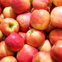 [22년수확] (주스용 10kg) 부사 꿀사과! 새콤 달콤 못난이사과 10kg 쥬스용, 10kg, 1개