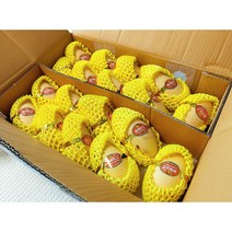 항공 직송 태국망고 남독마이종 프리미엄 고당도 씨가 얇은 황금 망고 5kg, 1개