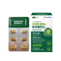 징코플러스 은행잎추출물 기억력 혈행 개선 두뇌건강 뇌 영양제 정 플라보노이드 나이아신 아연 판토텐산 비타민B군 플라보놀배당체 식약처 기능성 인정, 징코플러스 30정  1박스