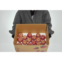 청년농부 못난이 부사사과 5KG, 5kg 소과