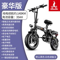 피닉스 접이식 전기자전거 초경량 48v 35ah 140km운행 대리운전픽업 배달용, 20AH, 퓨전 140km35AH파나소닉 셀