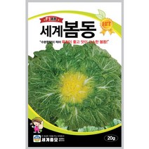 세계 봄동 20g / 월동 배추 가을 채소 종자 씨앗