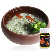 [미미네아쿠아] 천연가습 도자기수반 금붕어키우기세트 소 -2마리포함, 단일속성