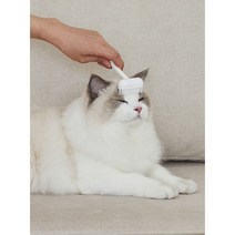 일루 그루밍 고양이빗 1+1, 1개, 블랙+화이트