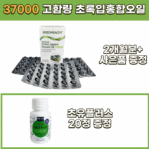 뉴질랜드 초록입홍합오일 고함량 37000 초록홍합 초록잎홍합 푸른 그린 홍합, 60정 (2개월분) X 1개