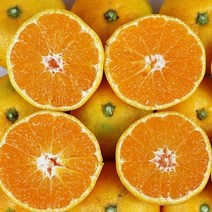 장보리 제주 노지감귤 5kg 소과 2S, 상세 설명 참조