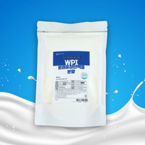 WPI 분리유청단백질 분말 500g팩 1개 HACCP 인증제품, 500g