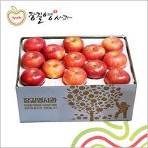 장길영사과 장길영 프리미엄사과 10KG 왕특대과(20-26과) 청송사과 산지직송, 1세트
