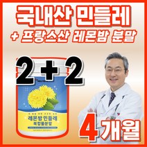국내산 레몬밤잎 민들레 밀크씨슬 단델리온 식품 분말 타먹는 물에 푸드 추출물 고급 국산 추출 레몬밤 가루 파우더 프랑스 마시는 프리미엄 프랑스산 음식 수입 밀크시슬 단델리오