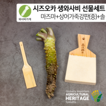 [와사비가게 선물세트] 시즈오카 마즈마 생와사비+상어가죽강판(M)+와사비전용 대나무솔, 50g