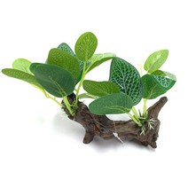 칸후 유목실크조화 2122 어항꾸미기 어항장식 은신처