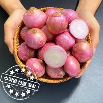 수작업 선별 아삭아삭 맛있는 샬롯 모충 미니양파 Shallot, 중국 샬롯 모충 2kg